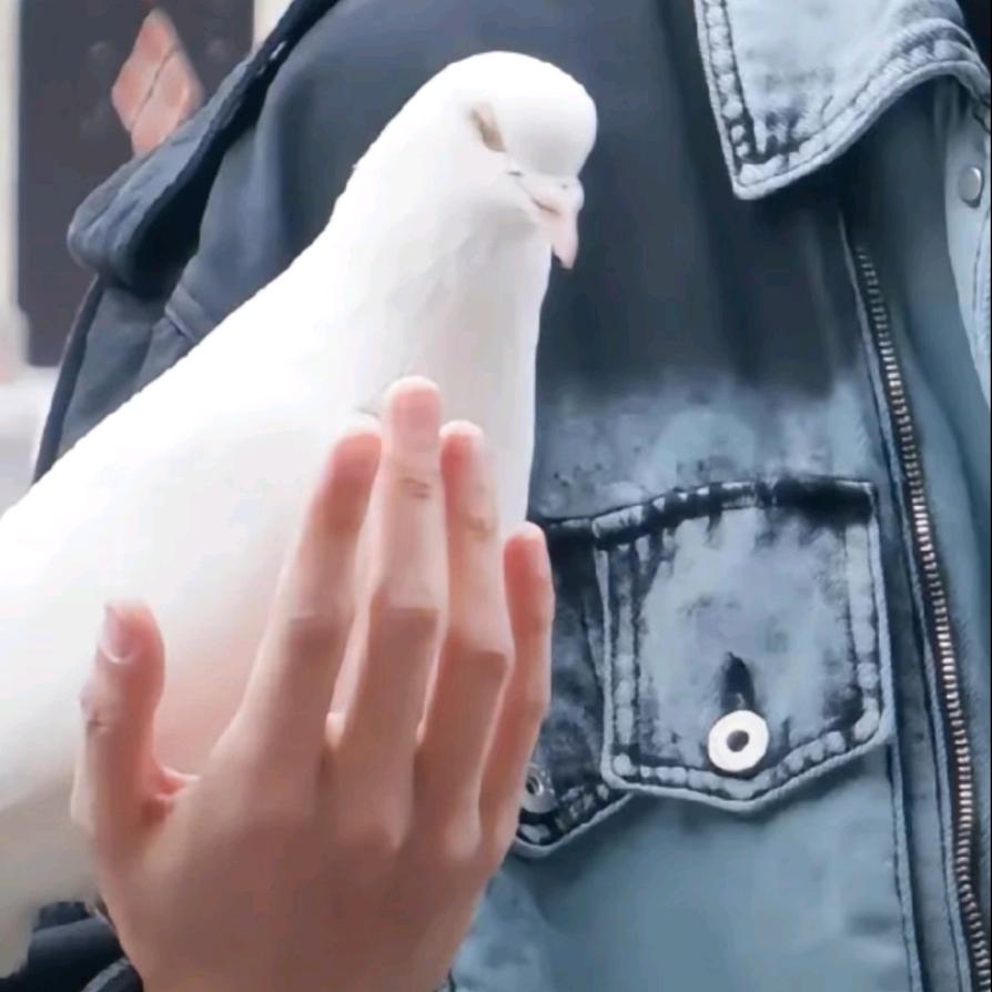 我思故我在头像