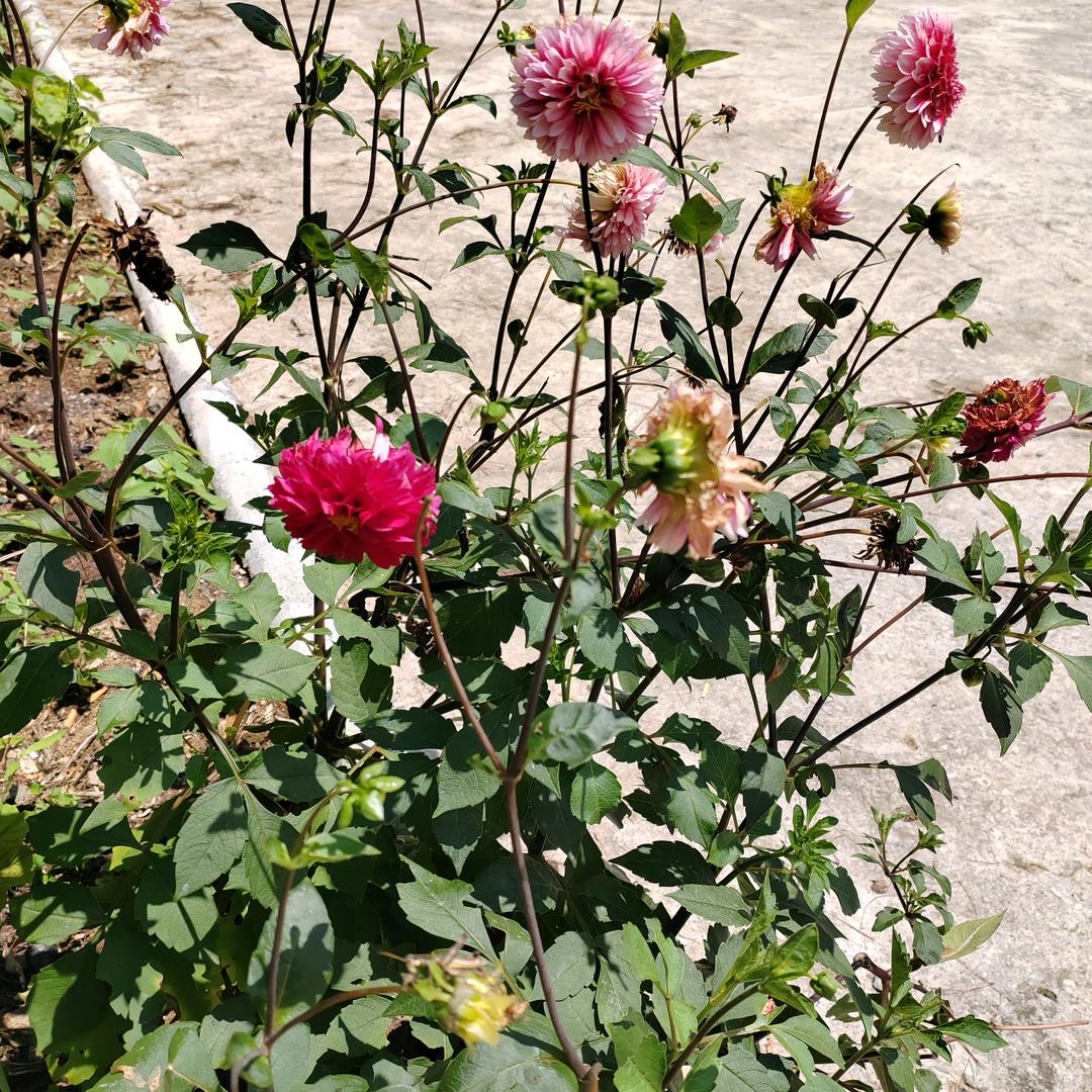 老横梁成源山庄