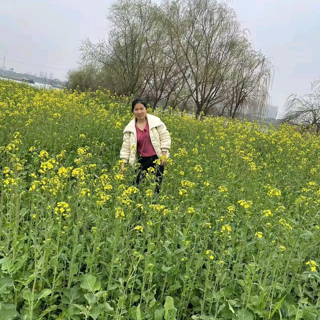 姐不拽