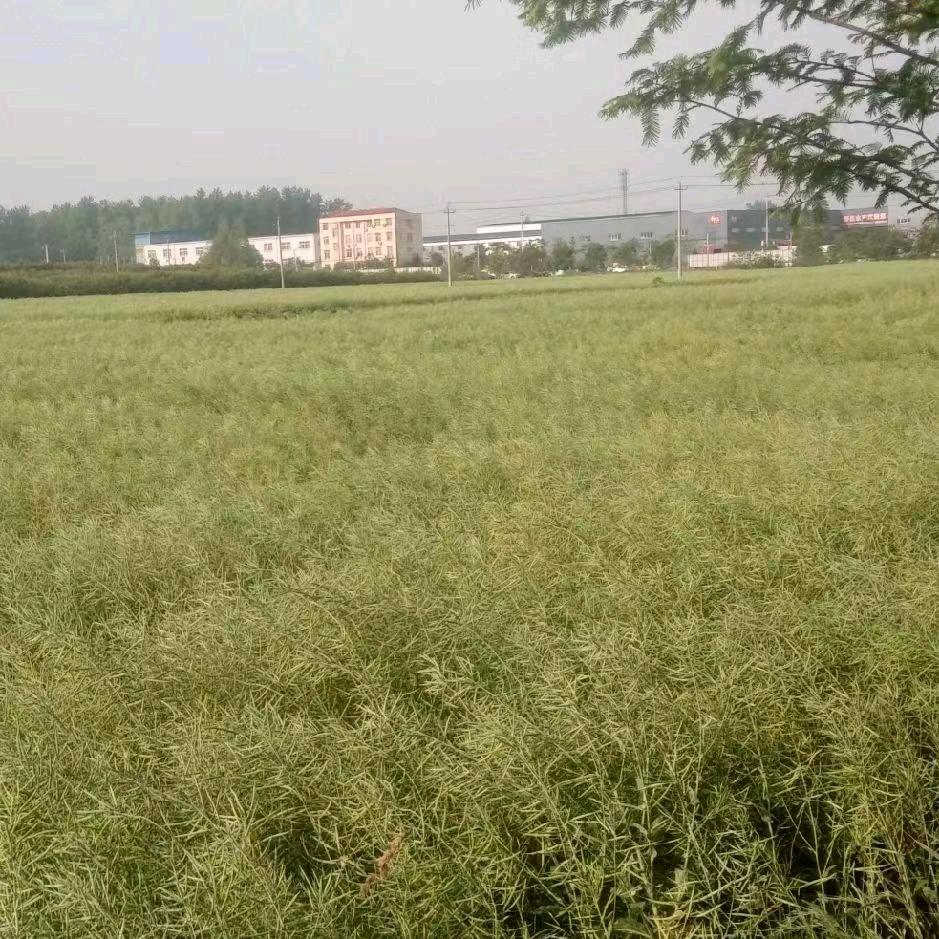抖音莉儿在努力中