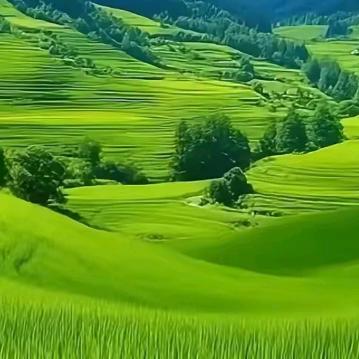 平凡可贵