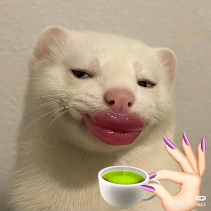 玖笙