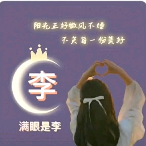 木子L