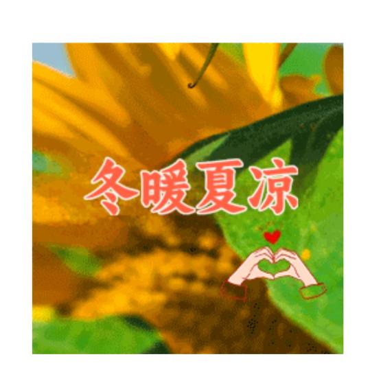 @冬暖夏凉💐💐