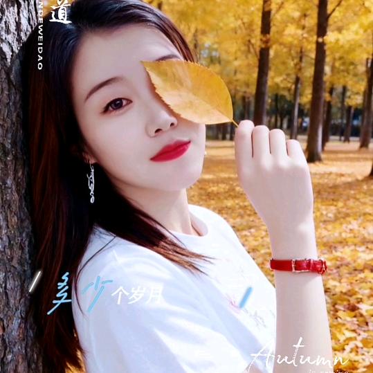 累了谁会心疼你