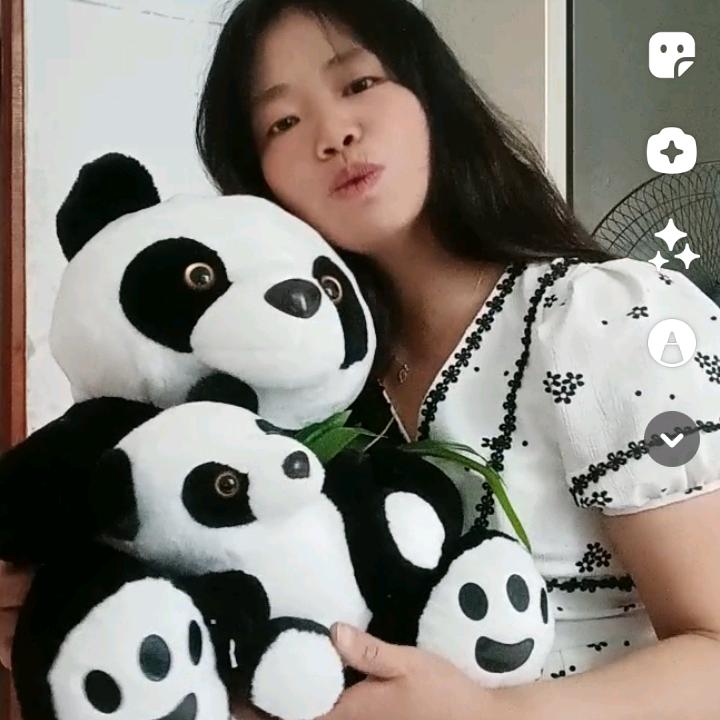 小熊猫《请勿连赞》
