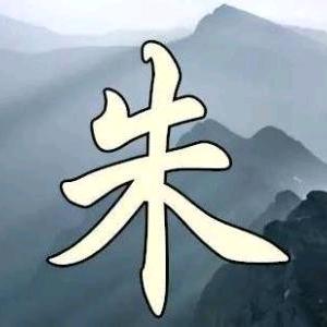 (ง •̀_•́)朱先森