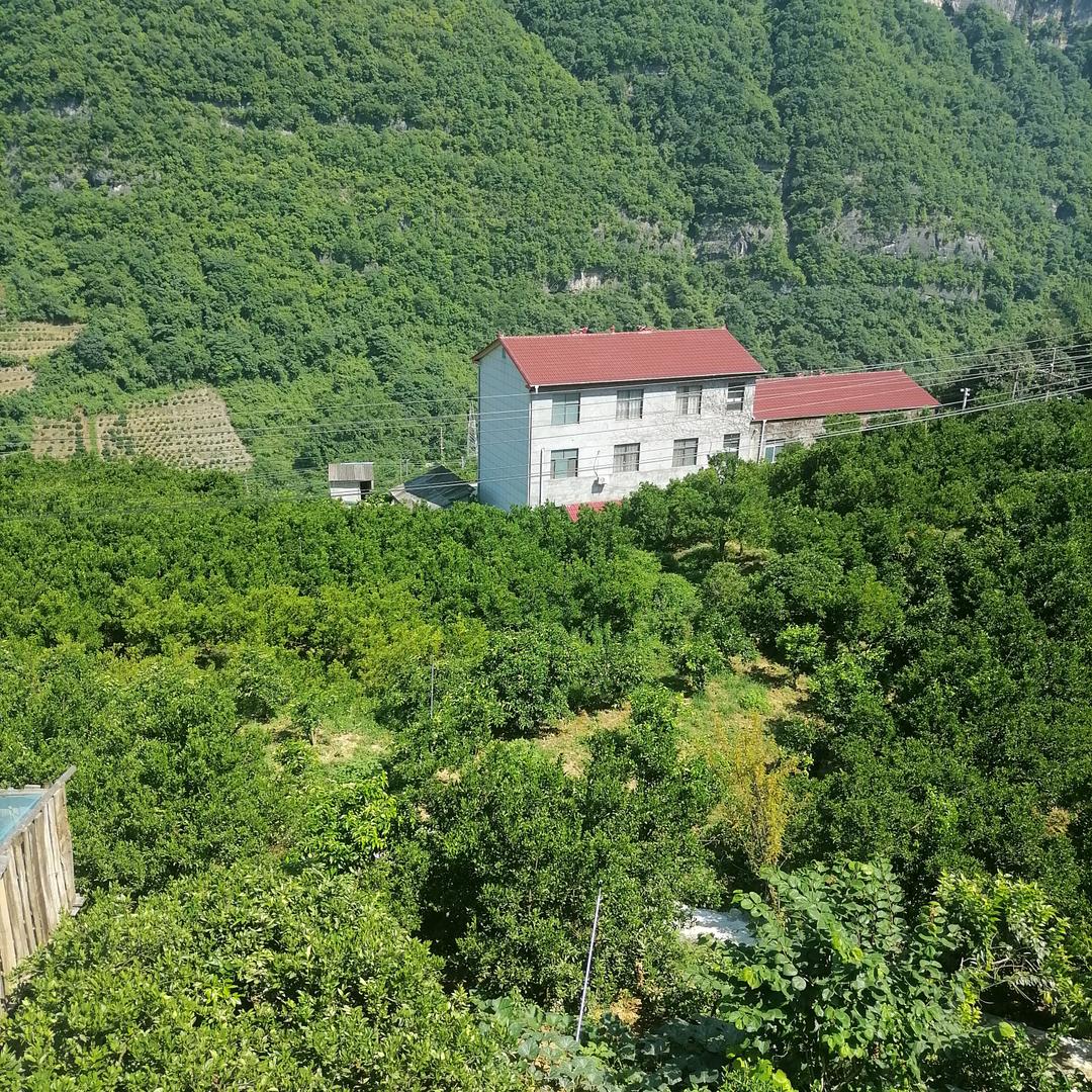 长阳孟乐农产好物市集