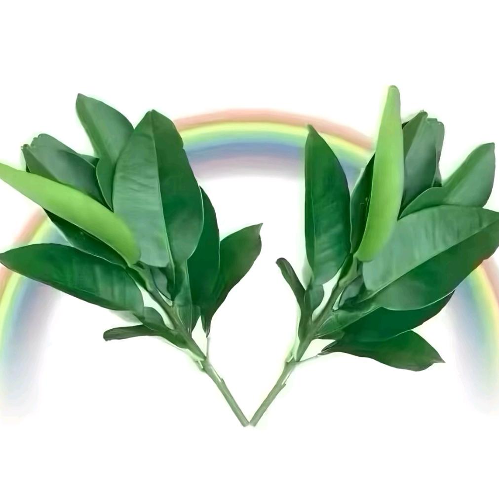 鲁西锤王