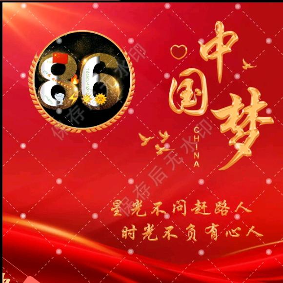 8 6
