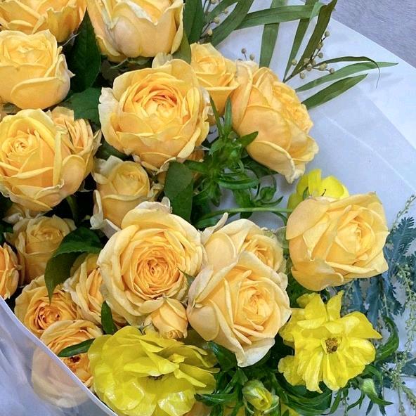 玫瑰❤（关必回）