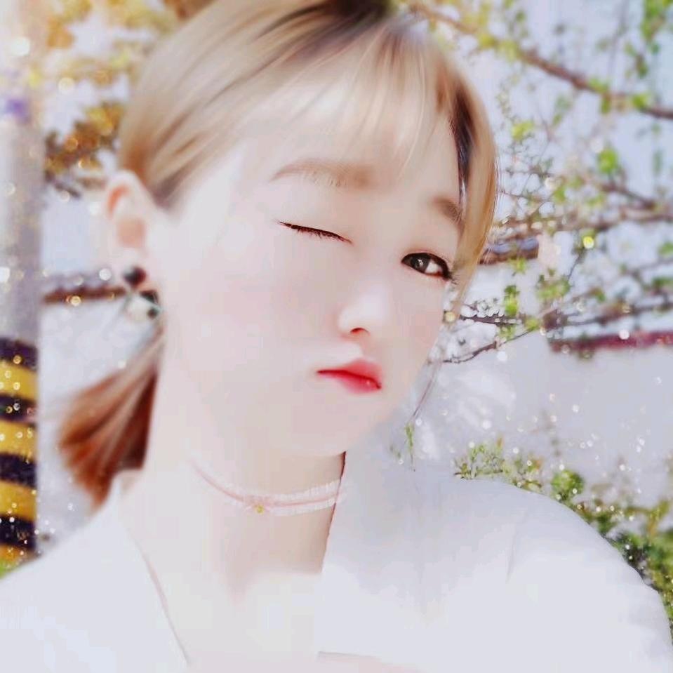 杯中猫🐱