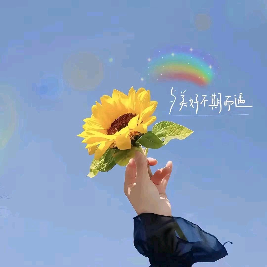 週週