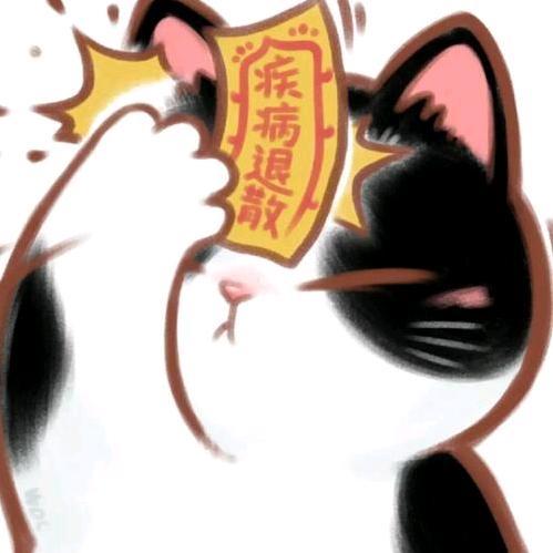 晚安未遂