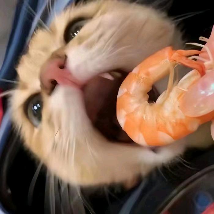 我一口五花肉咬死你🥩⁰⁶⁰⁷