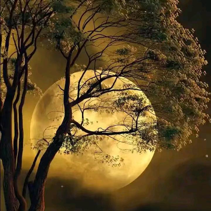 做人要，言而有信