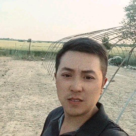 亮亮Dd