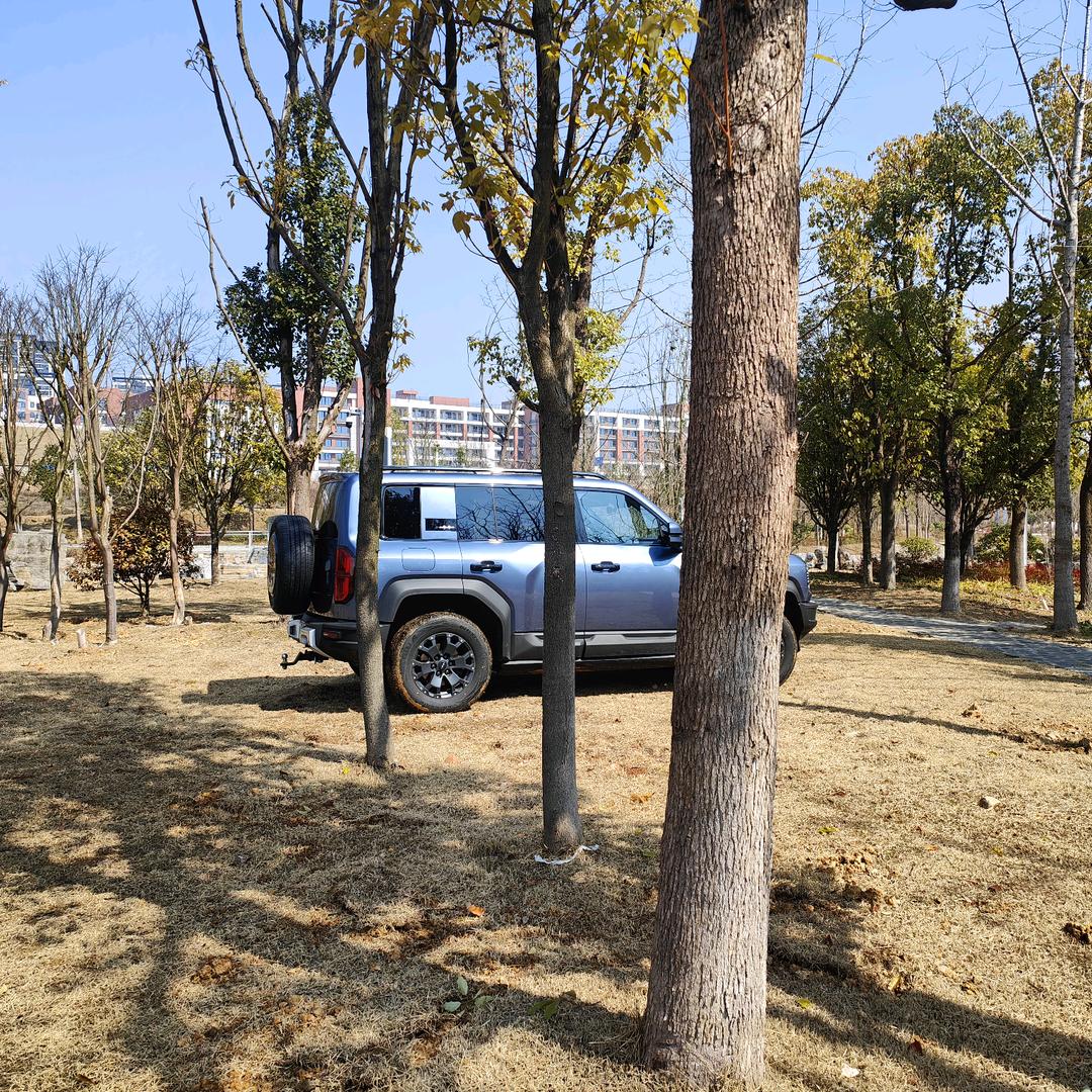 潇湘野豹军团—王子