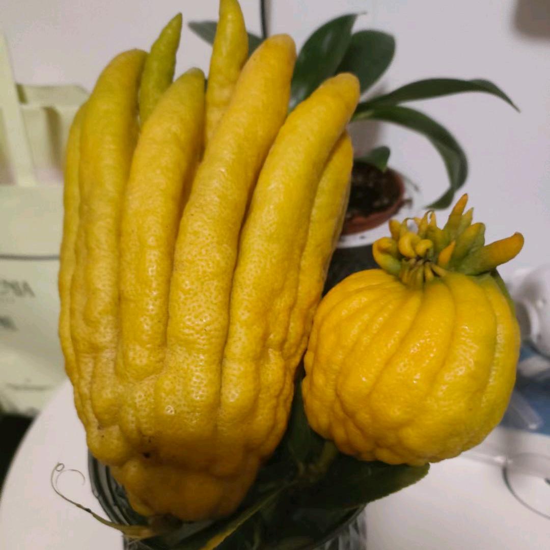 Hello Friend  寒江孤影
