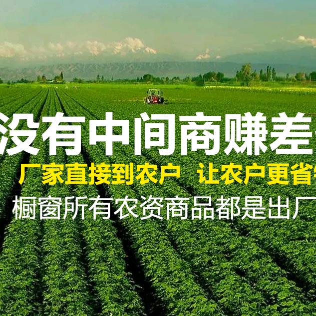 红尾鸟农资——根彤好