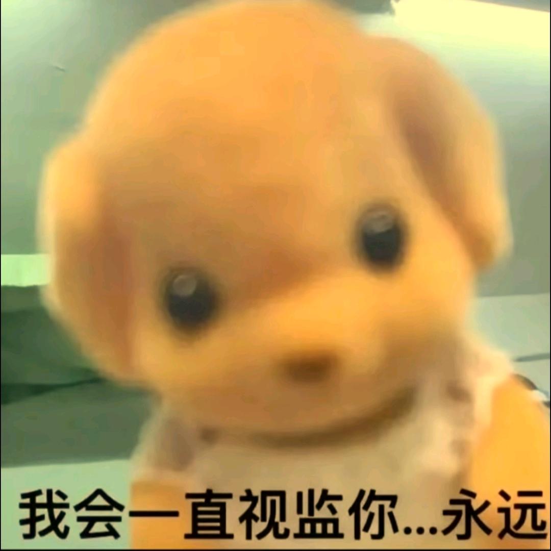 哈哈哈哈哈哈哈哈哈