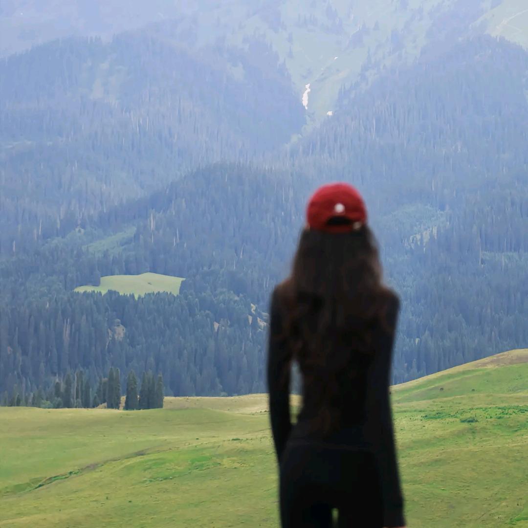 咩咩羊（备考助手版）