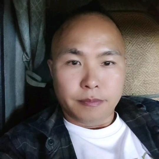 澹振东