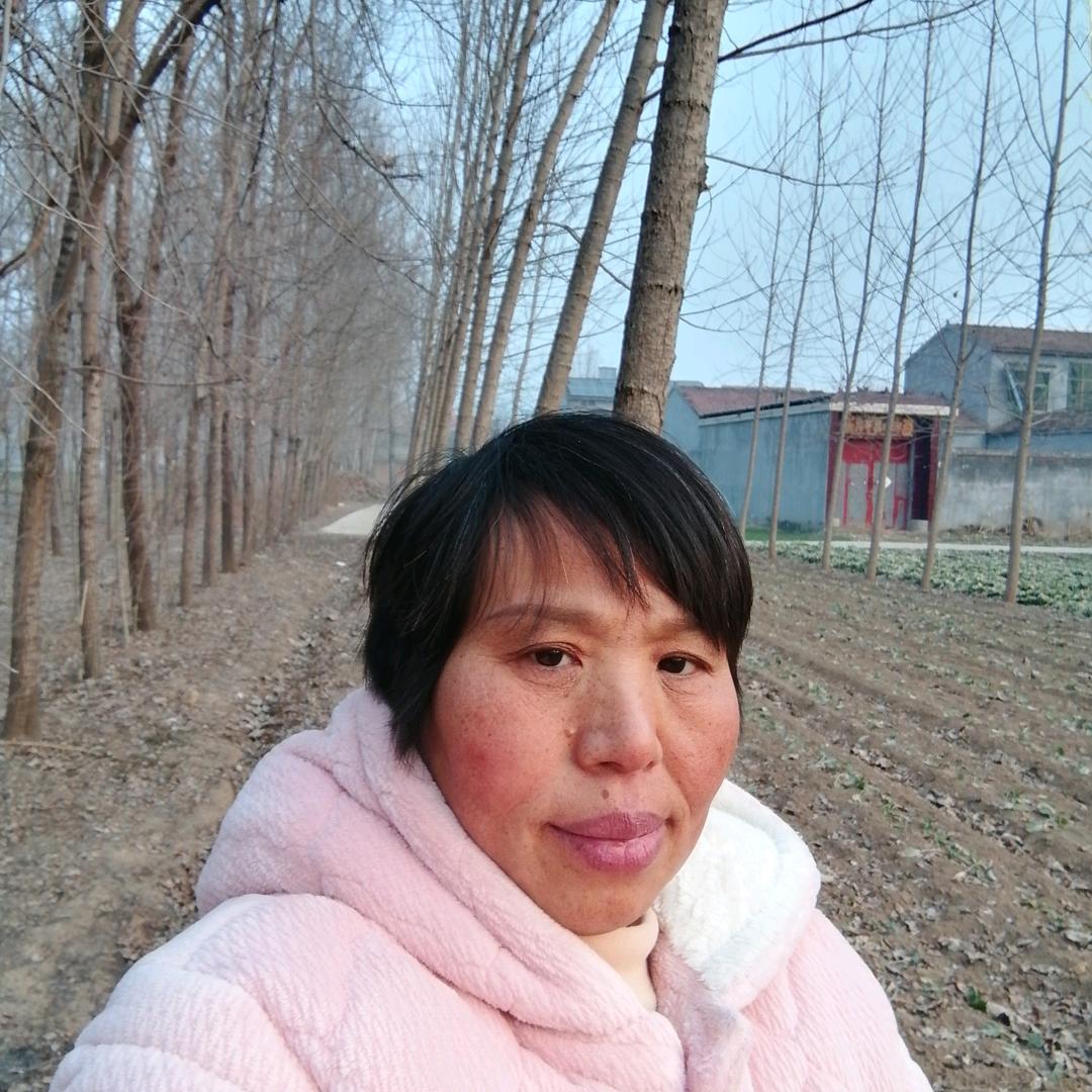 陶陶妈首播（今晚七点四十直播）