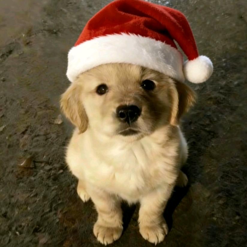 讨厌ˇ下雨天☔️