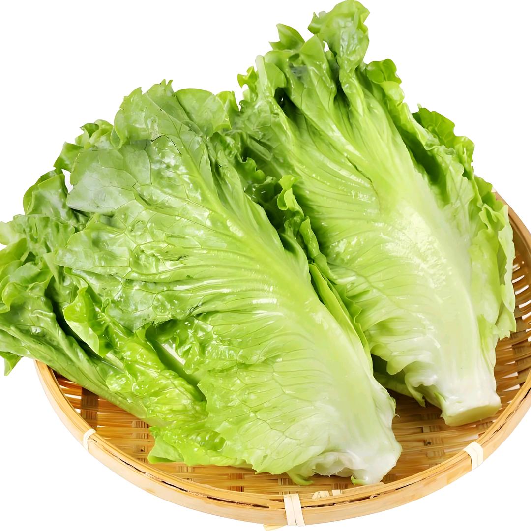 吴家大丫头
