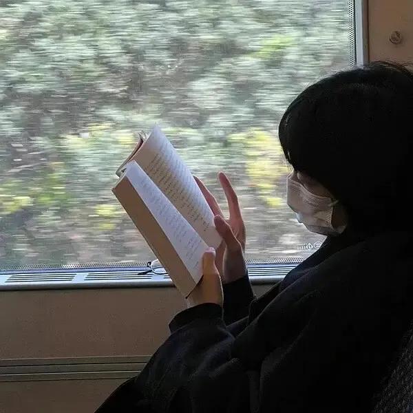林岁的岛屿