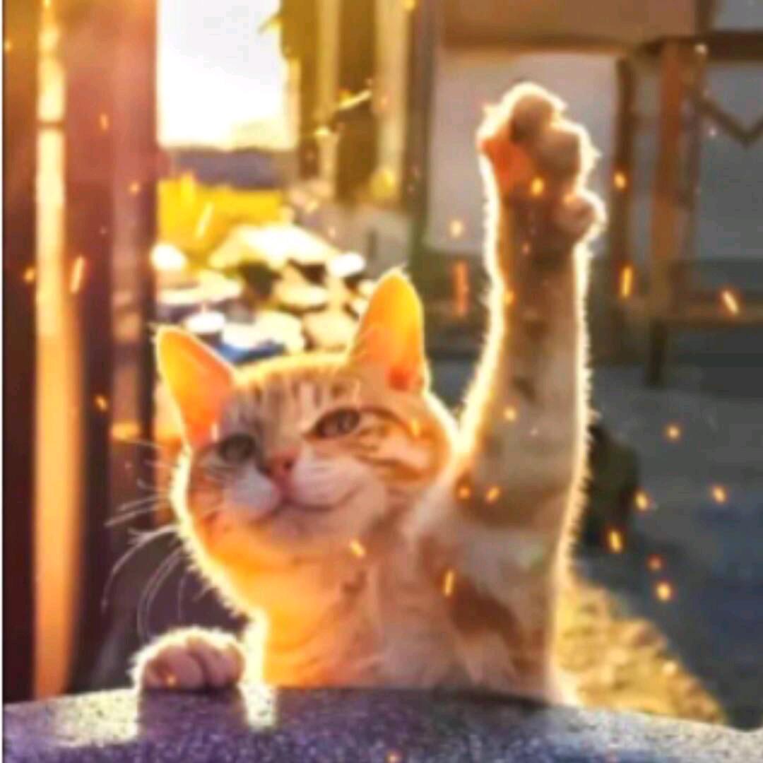 -_-||