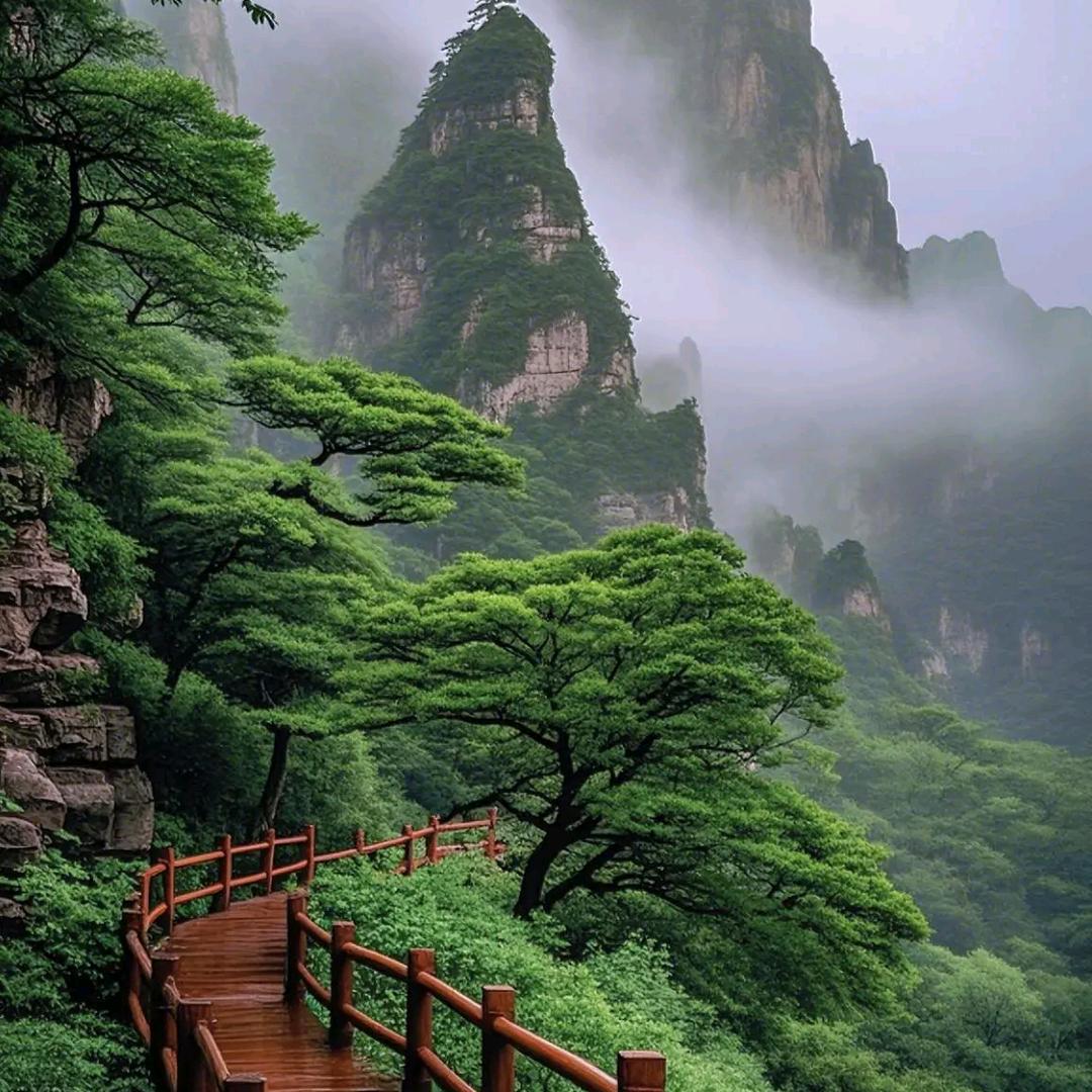 平原游糅