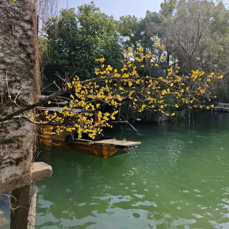 静水含莲