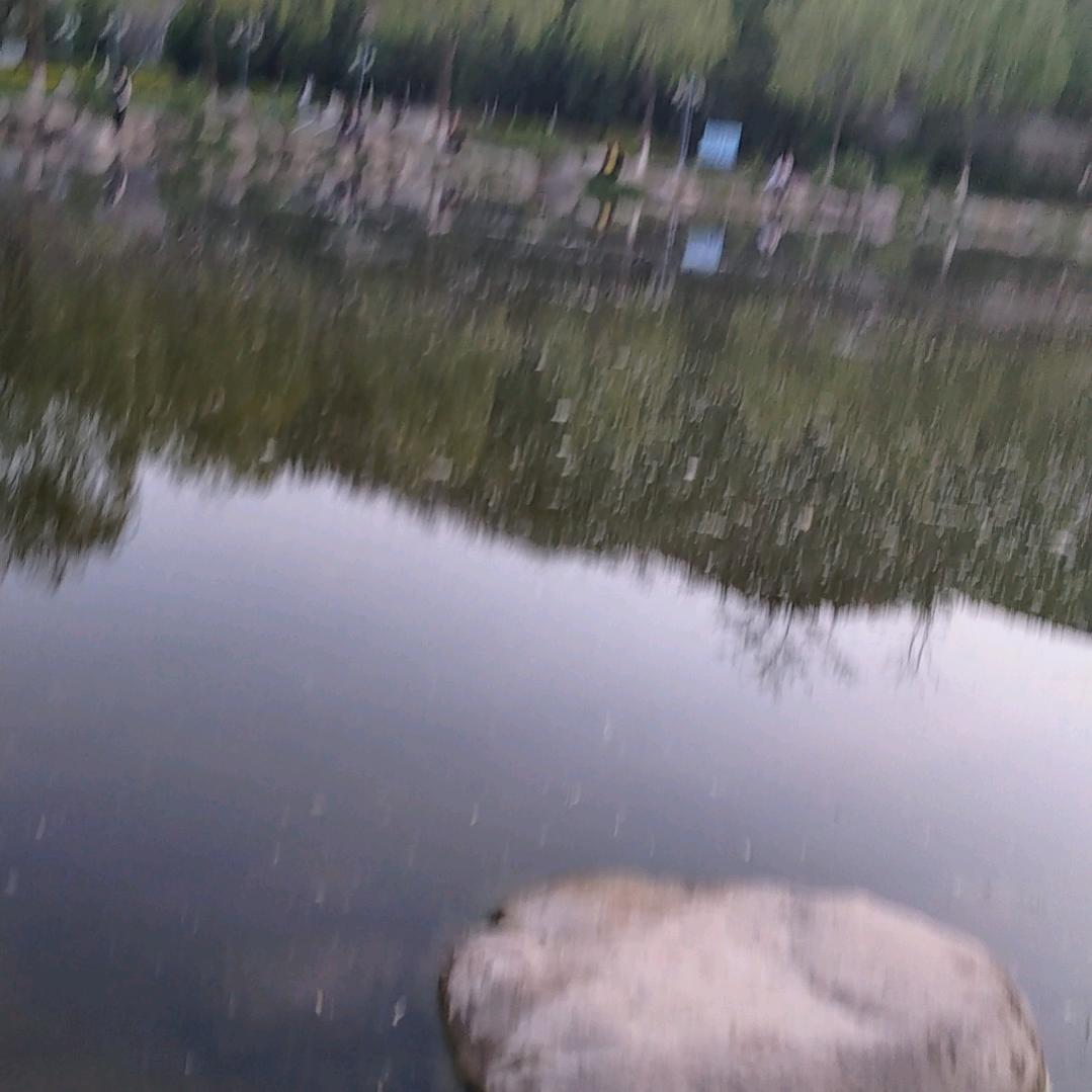 一生无悔