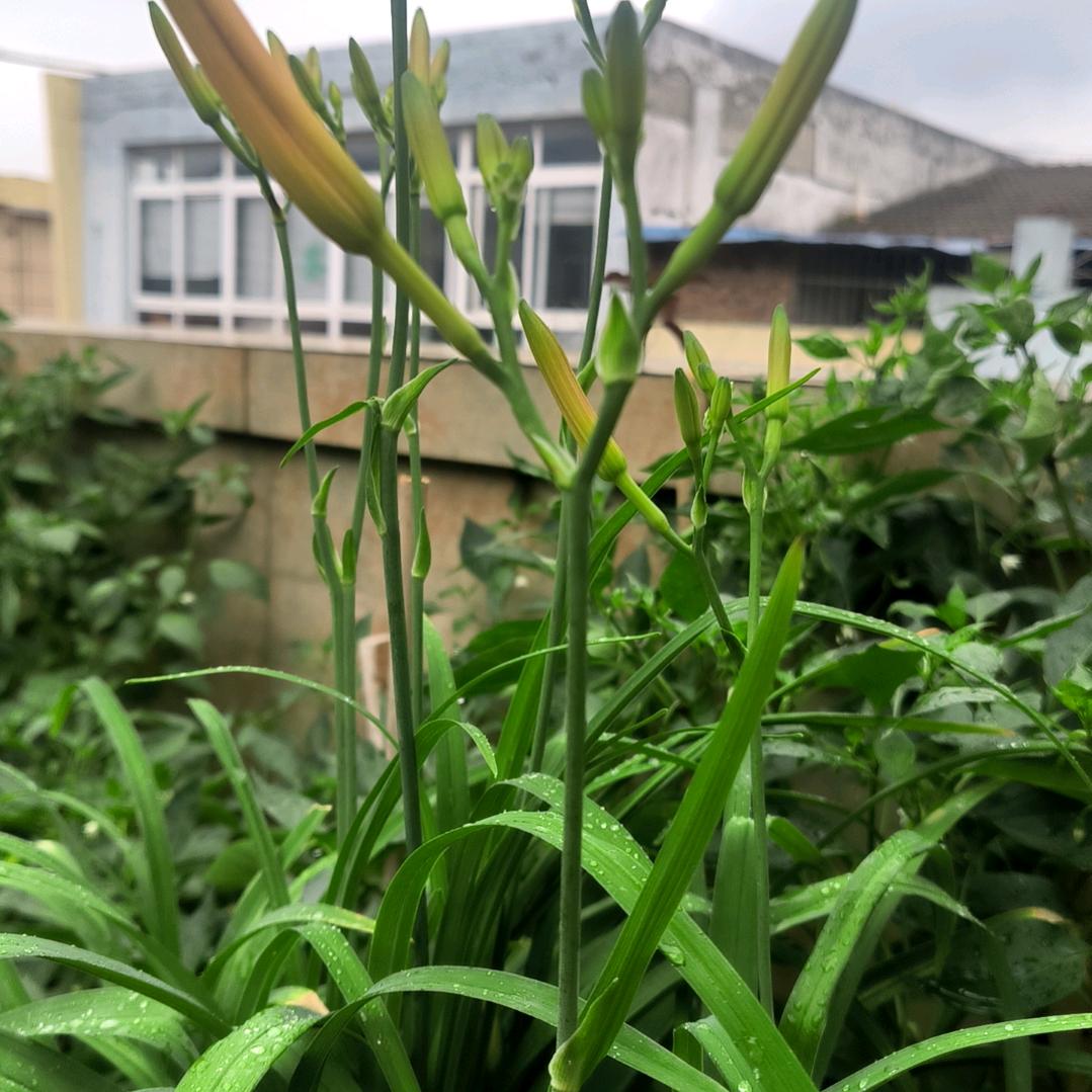 各种各样淋浴房配件批发李姐