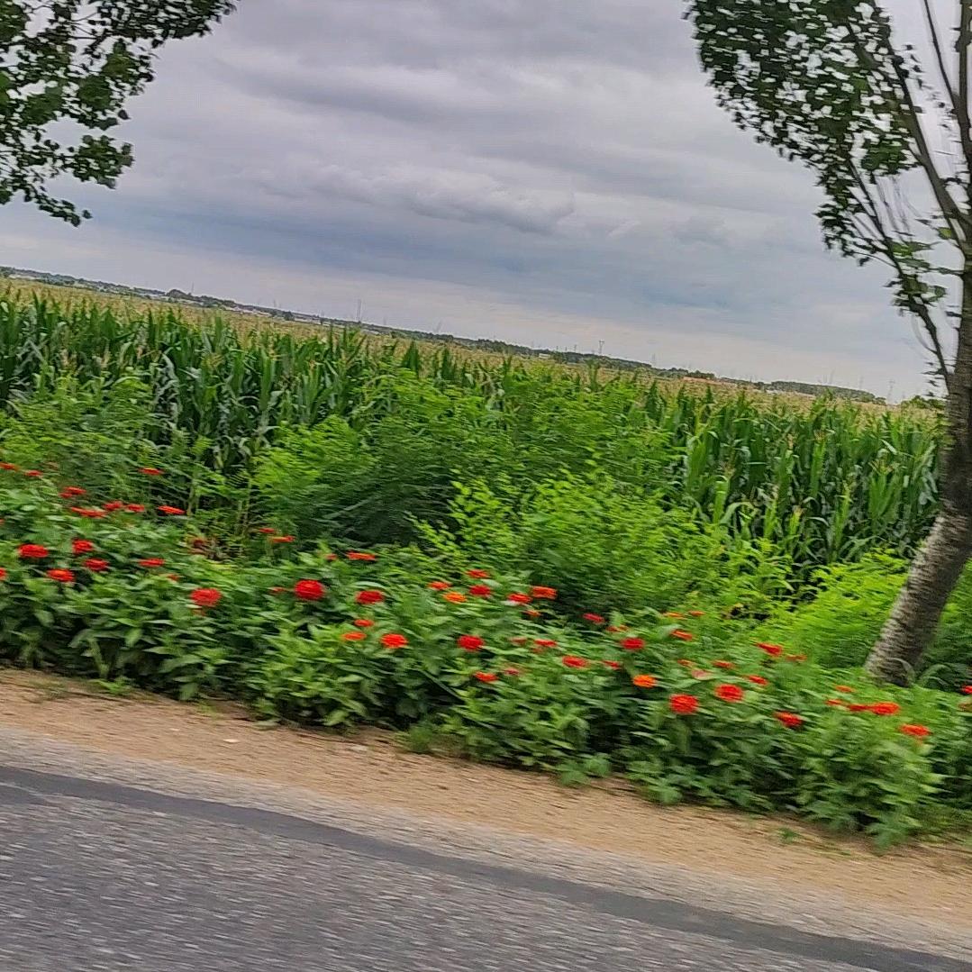 衣裤批发