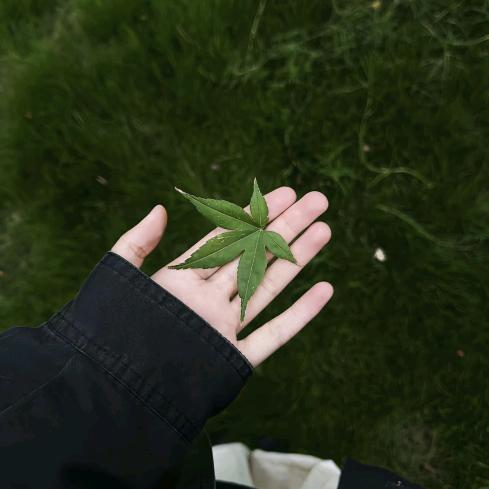 到时候再说˙ᵕ˙ᰔᩚ