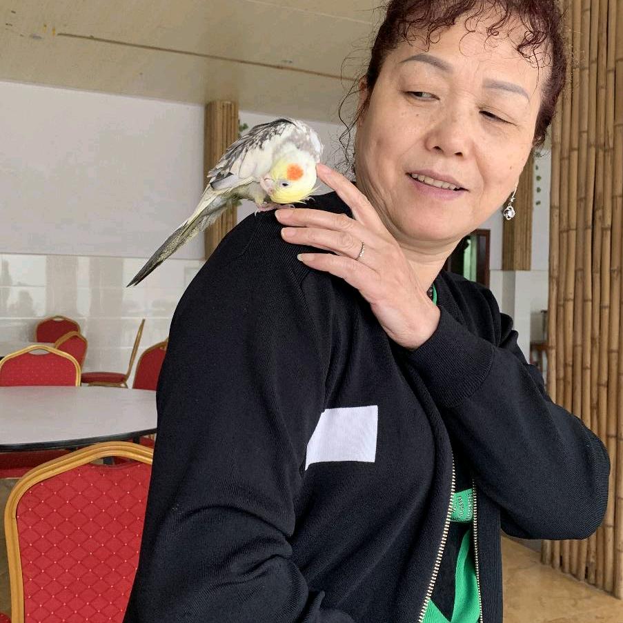古刚丽