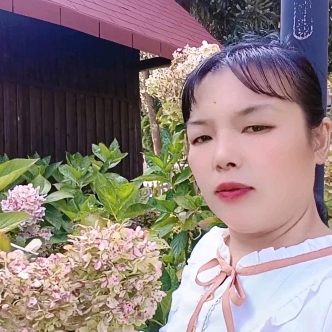 清月无梦