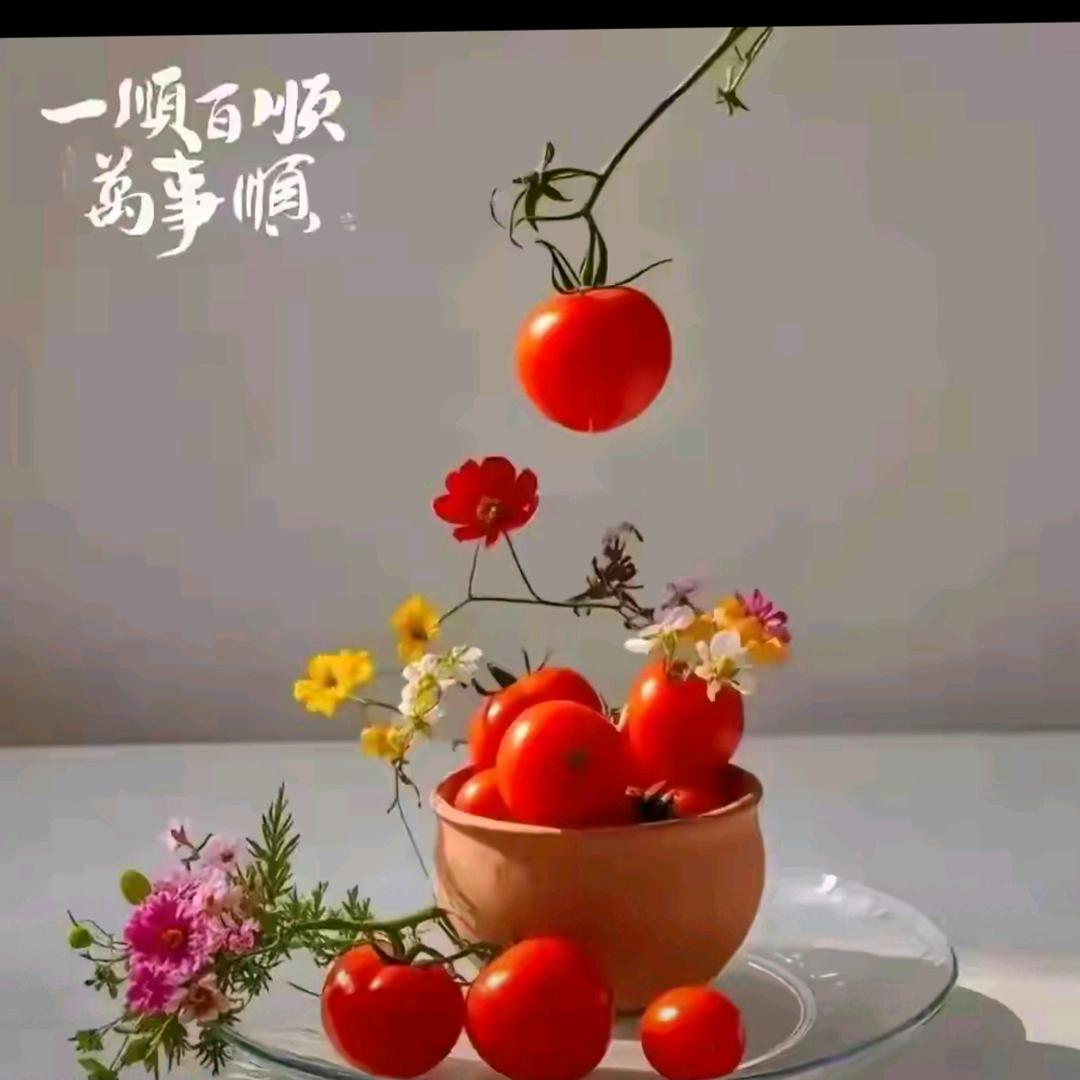 铿锵玫瑰