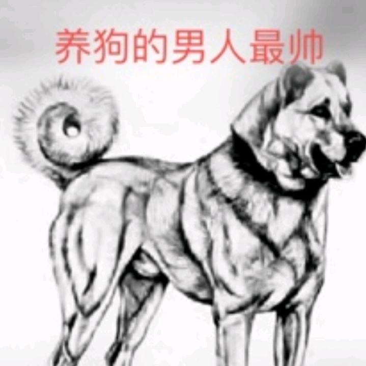 新疆土狗