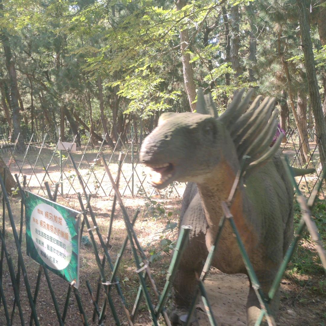 心存の思念