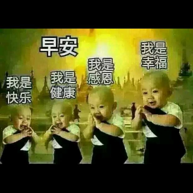 四叶草的爱🍀