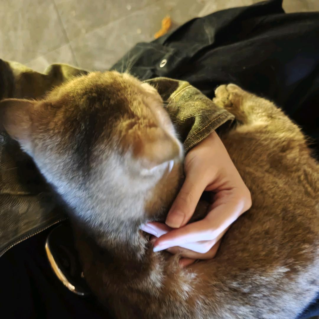 一千零一次