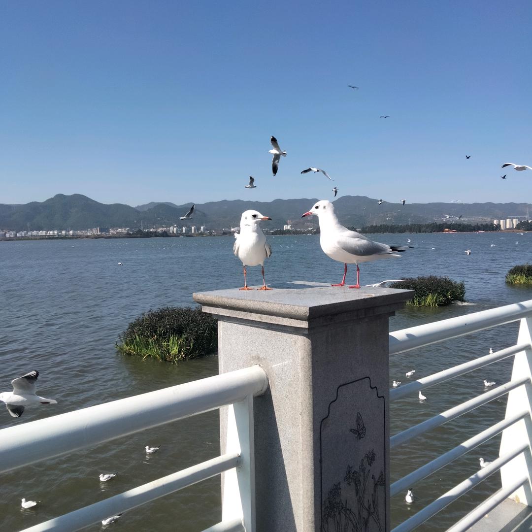 明天会更好 👏👏👏👏