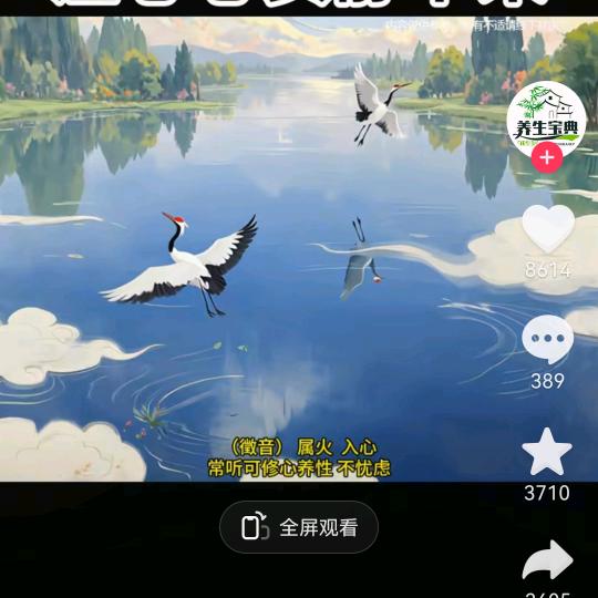 用户803105550799