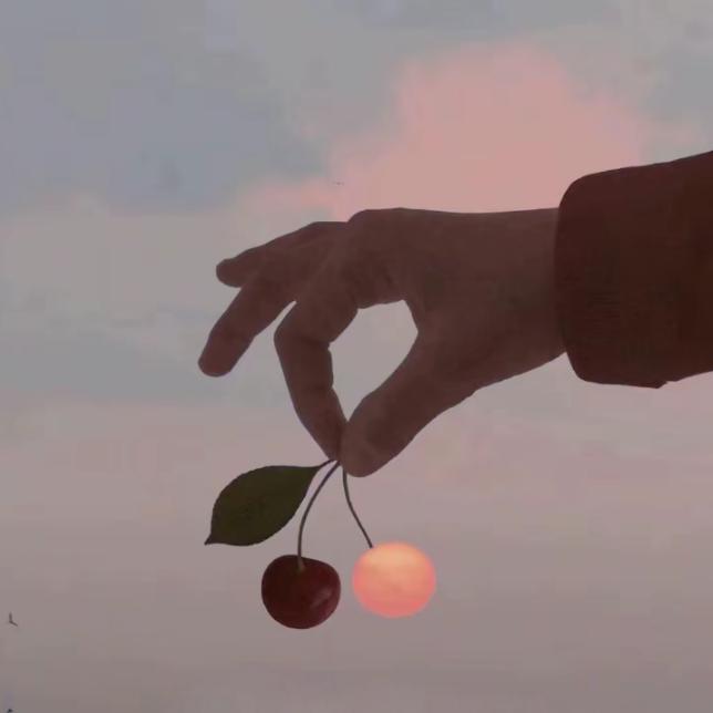 手心里的温柔RFL