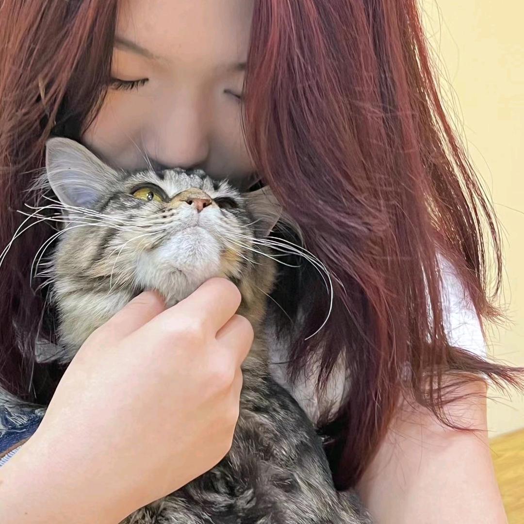 口袋.