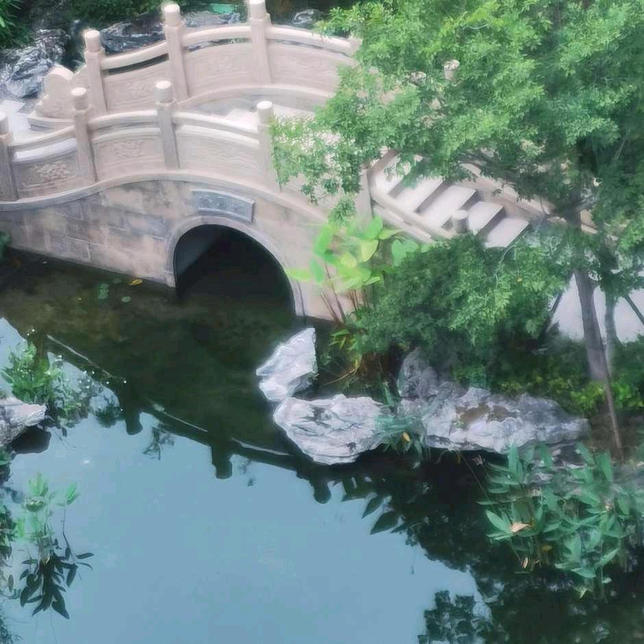 期待明天定会好💫